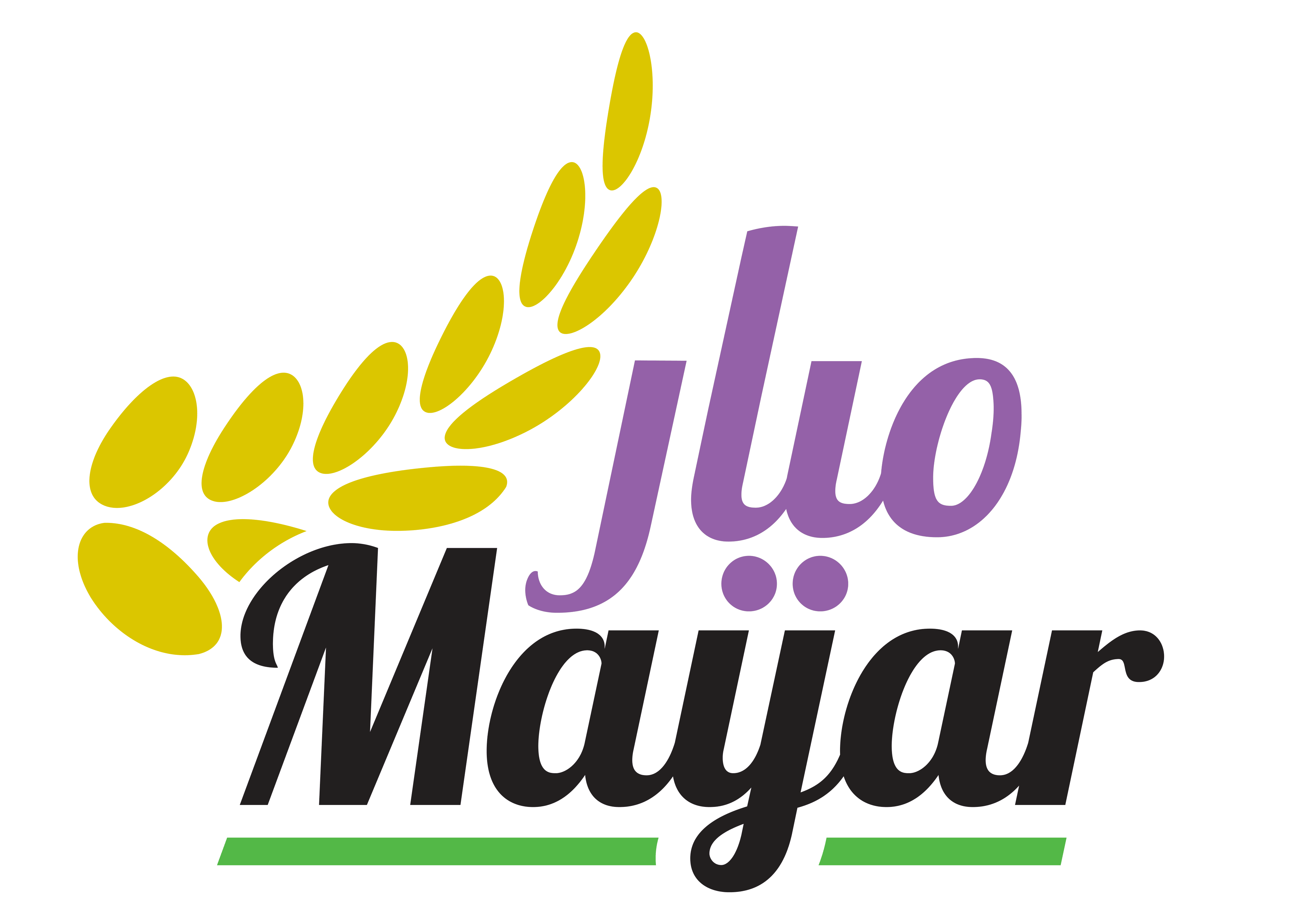 Mayar